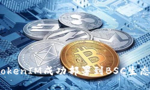 如何将TokenIM成功部署到BSC生态系统中？