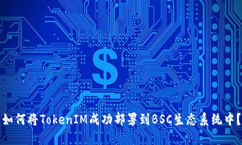 如何将TokenIM成功部署到BSC生态系统中？