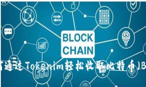 如何通过Tokenim轻松收取比特币（BTC）