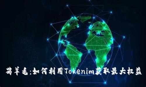 薅羊毛：如何利用Tokenim获取最大权益