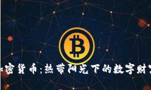 迈阿密加密货币：热带阳光下的数字财富新机遇