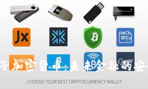 VFP量子加密货币：未来金融的安全钥匙