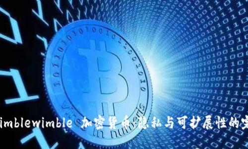 揭秘 Mimblewimble 加密货币：隐私与可扩展性的完美结合