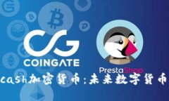 了解Hcash加密货币：未来数字货币的桥梁