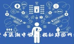 如何在加密货币浪潮中崛起：揭秘那些网红的成