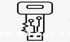 揭开加密货币私募期的面纱：投资者应知的关键