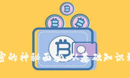 揭开电脑货币加密的神秘面纱：从基础知识到风险管理全解析