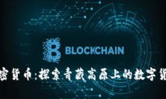 拉萨加密货币：探索青藏高原上的数字货币之路