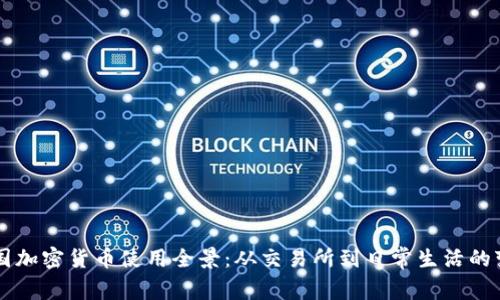 美国加密货币使用全景：从交易所到日常生活的变革