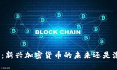 Pi币：新兴加密货币的未来还是泡沫？