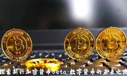 
探索新兴加密货币Beta：数字货币的未来之路