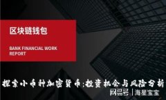 探索小币种加密货币：投资机会与风险分析
