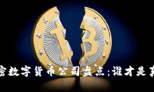 2023年最大加密数字货币公司盘点：谁才是真正的行业领袖？