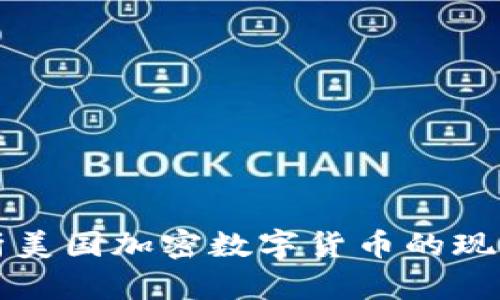 全面解析美国加密数字货币的现状与未来