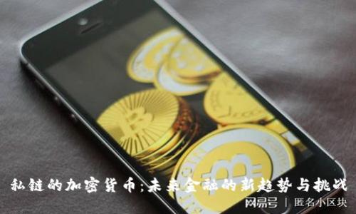 私链的加密货币：未来金融的新趋势与挑战