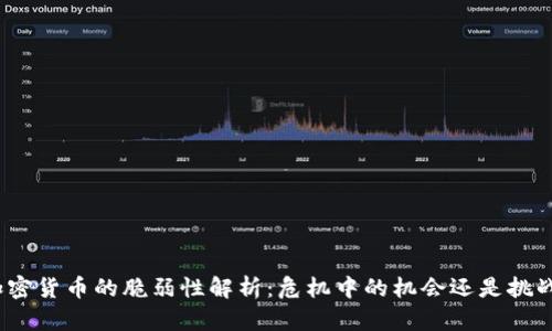 加密货币的脆弱性解析：危机中的机会还是挑战？
