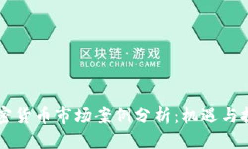 日本加密货币市场案例分析：机遇与挑战并存