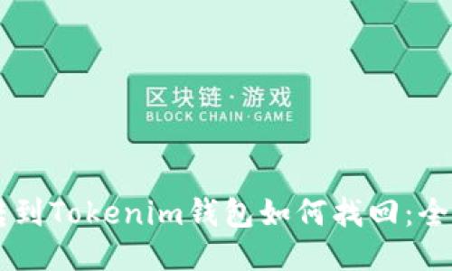 币错转到Tokenim钱包如何找回：全面指南