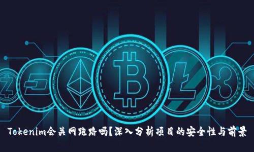 Tokenim会关网跑路吗？深入分析项目的安全性与前景