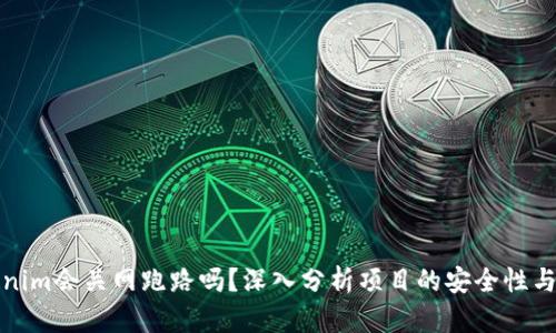 Tokenim会关网跑路吗？深入分析项目的安全性与前景