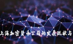2023年上海加密货币公司的发展现状与未来展望