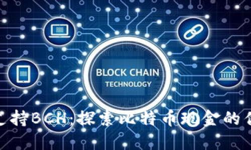 Tokenim支持BCH：探索比特币现金的优势与应用