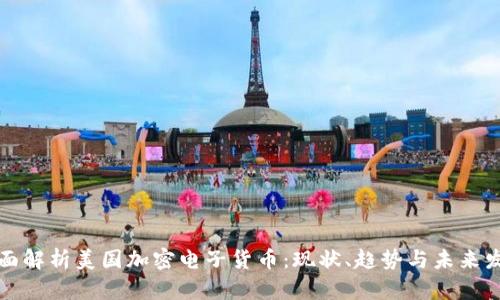 全面解析美国加密电子货币：现状、趋势与未来发展