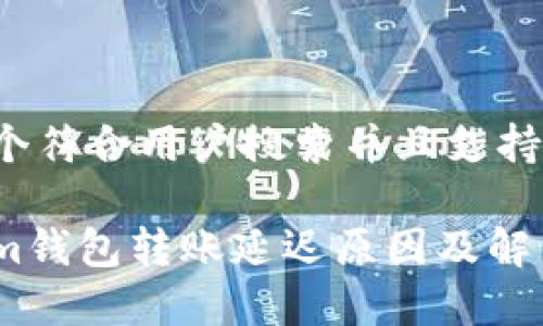 思考一个符合用户搜索并且支持的优秀:

Tokenim钱包转账延迟原因及解决方案
