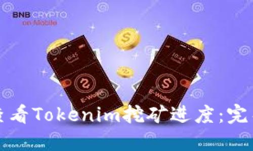 如何查看Tokenim挖矿进度：完整指南