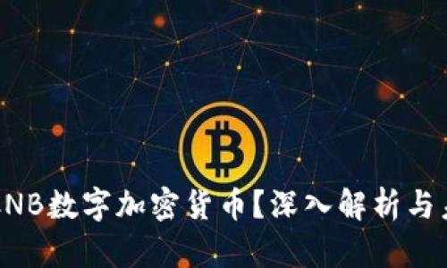 什么是CNB数字加密货币？深入解析与未来展望