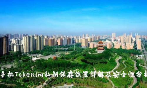 手机Tokenim私钥保存位置详解及安全性分析