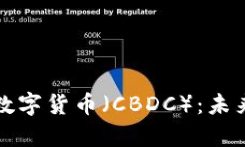 深入了解中央银行数字货币（CBDC）：未来金融的革命性转变