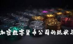 中国国产加密数字货币公司的现状与未来展望