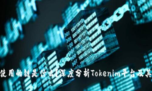 Tokenim使用的链是什么？深度分析Tokenim平台及其底层技术