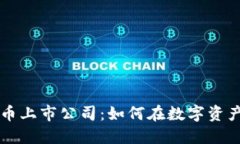 区域链加密货币上市公司：如何在数字资产时代