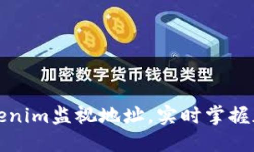 如何使用Tokenim监视地址，实时掌握加密资产动态