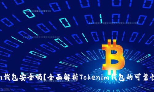 Tokenim钱包安全吗？全面解析Tokenim钱包的可靠性与风险