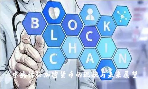 中央讨论加密货币的现状与未来展望