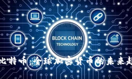 深入解析比特币：全球加密货币的未来趋势与挑战