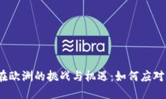 加密货币在欧洲的挑战与机遇：如何应对市场波