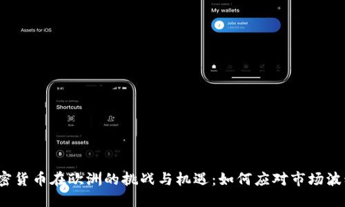 加密货币在欧洲的挑战与机遇：如何应对市场波动？