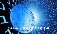 Tokenim兑换的风险及避险策略