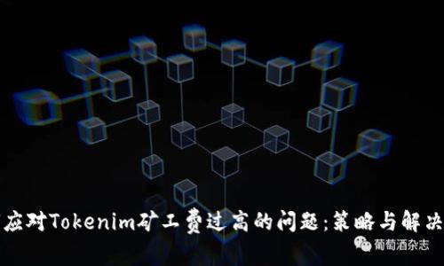 如何应对Tokenim矿工费过高的问题：策略与解决方案
