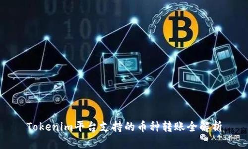 Tokenim平台支持的币种转账全解析