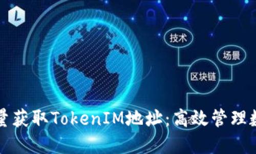 如何批量获取TokenIM地址：高效管理数字资产