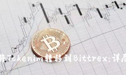 如何将Tokenim转移到Bittrex：详尽指南
