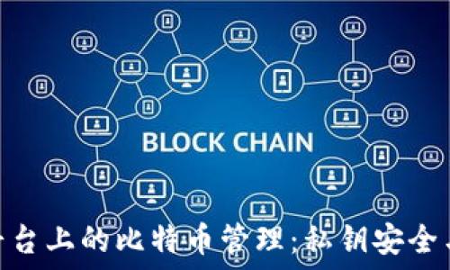   
Tokenim平台上的比特币管理：私钥安全与新手指南