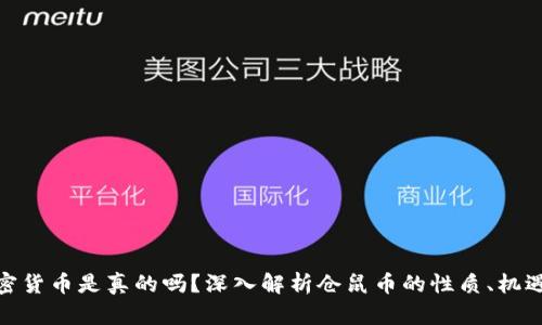 仓鼠加密货币是真的吗？深入解析仓鼠币的性质、机遇与风险