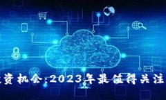 加密货币投资机会：2023年最值得关注的数字资产