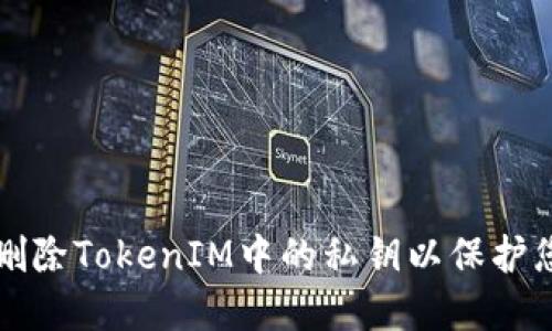 如何安全地删除TokenIM中的私钥以保护您的数字资产